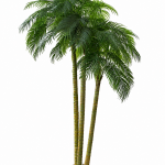 Kunst palmboom groot 3 meter, 3 stammen